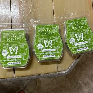 Scentsy Sea Salt & Avocado wax bars